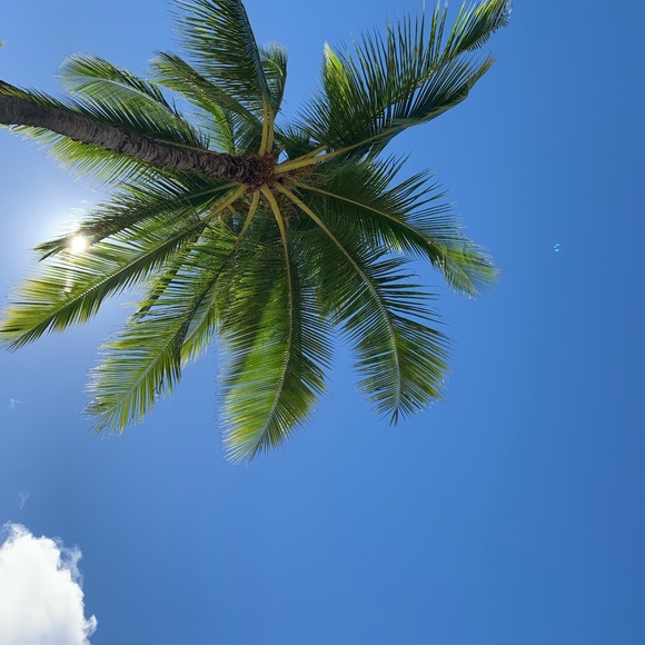 Meet your Posher, Trendista - Picture 8 of 14